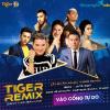 Ảnh TIGER REMIX 2018_ Đêm nhạc giao thừa sôi động