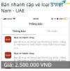 Ảnh Cần ra đi gấp cặp vé loại 3 trận VN - UAE