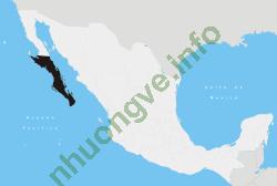 Ảnh Baja California Sur 170 4