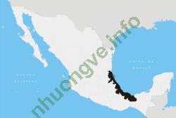 Ảnh Veracruz 1733 3