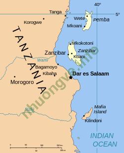 Ảnh Zanzibar 4347 3