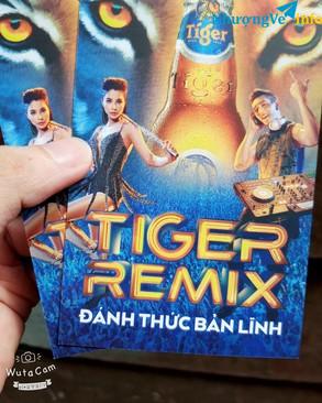 Ảnh Tiger Remix 2018 Ticket Fanzone