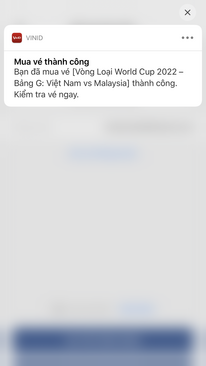 Ảnh 2 Vé bóng đá Việt Nam - Malaysia Loại 4